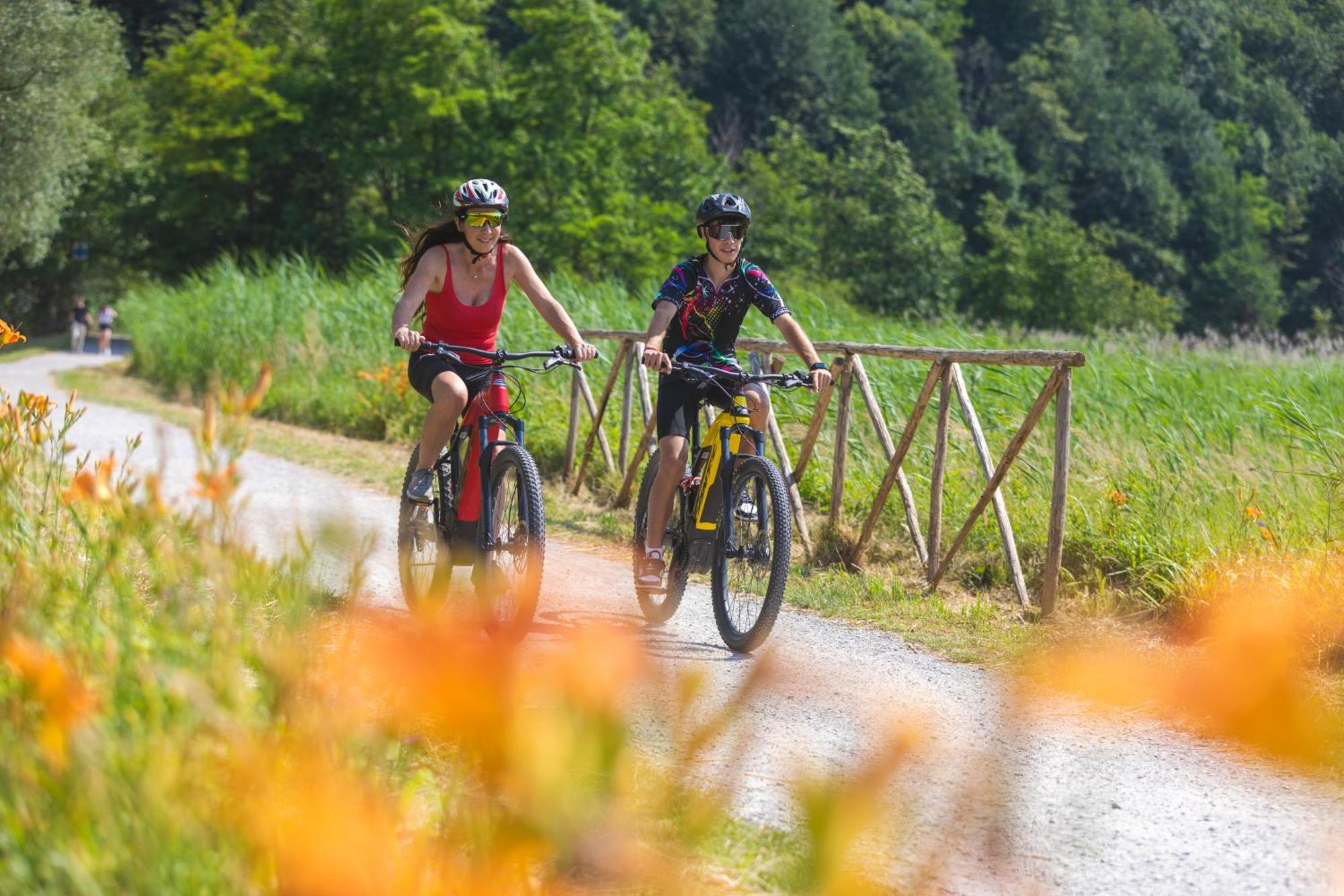 I Laghee Casette Breva E Tivano -Garden-Parking-Lake View - Bike Friendly Holiday House Colico Kültér fotó